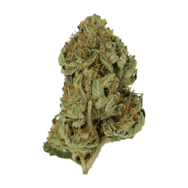 Bubblegum – 1 ounce | Budmail Canada