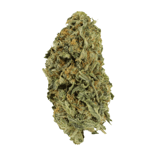 Chocolate Kush – 1 ounce | Budmail Canada