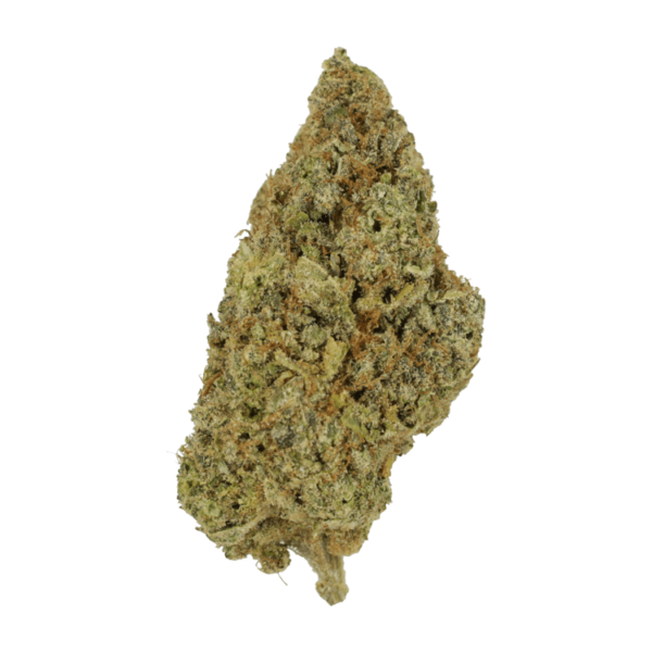 Grape Mimosa | Budmail Canada