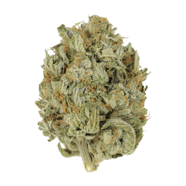 Blue Dream (Popcorn) | Budmail Canada