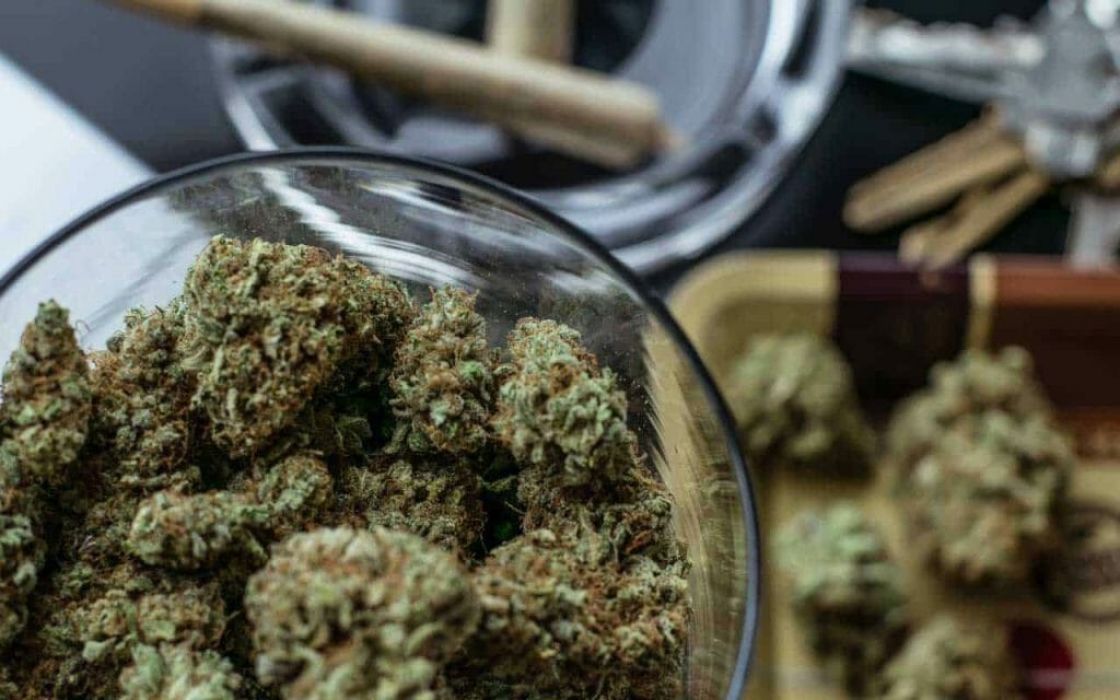Premium cannabis vs Affordable Weed | Budmail Canada