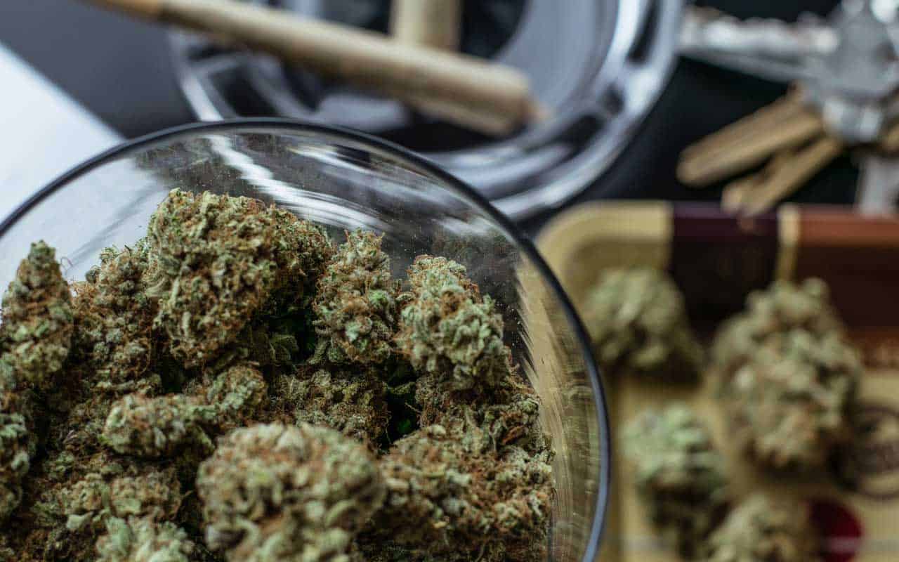 Premium cannabis vs Affordable Weed | Budmail Canada