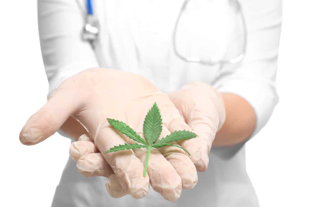 Cannabis as a natural cure for pain | Budmail Canada
