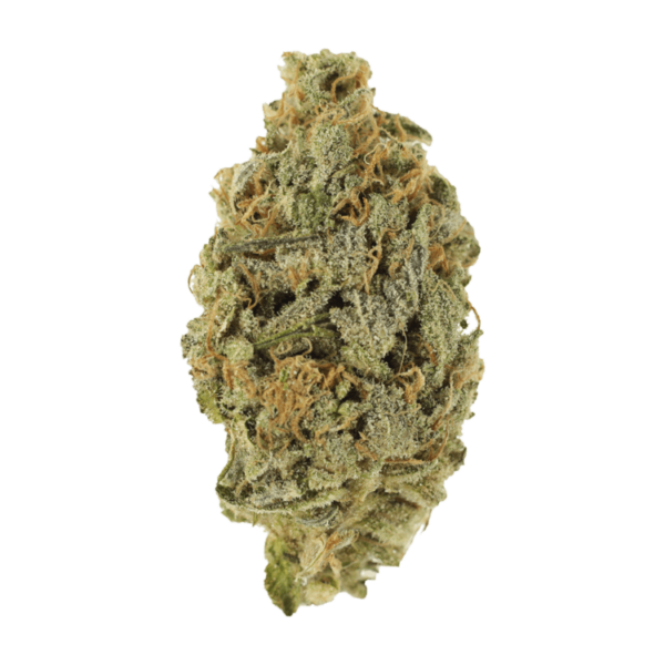 Lavender | Budmail Canada