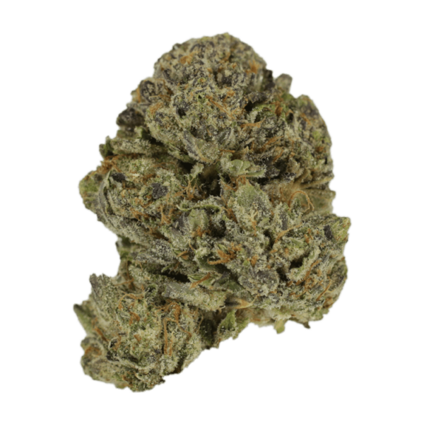 Lavender | Budmail Canada