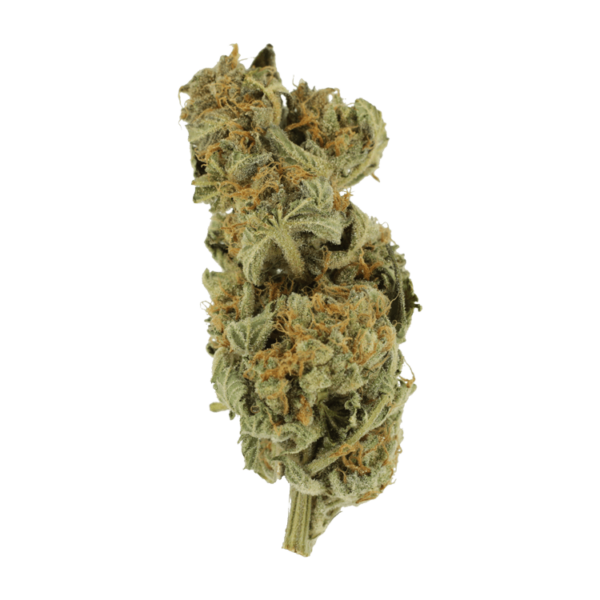 Gorilla Glue | Budmail Canada