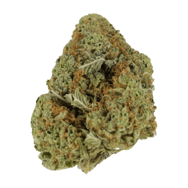 Mataro Blue – 1 ounce | Budmail Canada