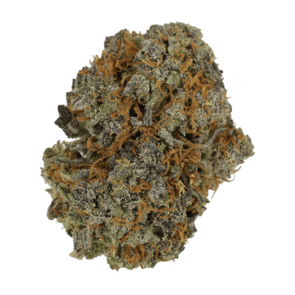 Jack Herer 1 Ounce | Budmail Canada