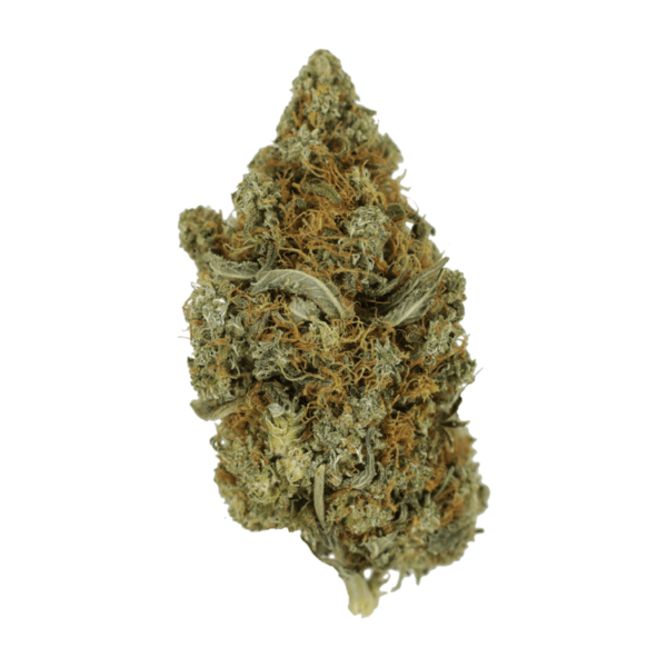 Jack Herer 1 Ounce | Budmail Canada