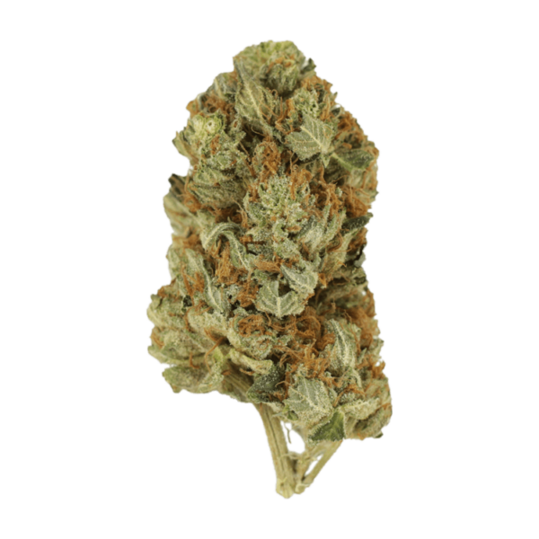 Jet Fuel | Budmail Canada