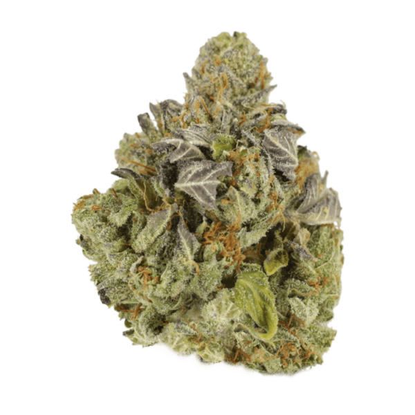 Jet Fuel | Budmail Canada