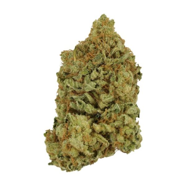 Blueberry | Budmail Canada