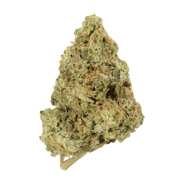 Zombie OG | Budmail Canada