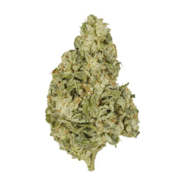 Zombie OG | Budmail Canada