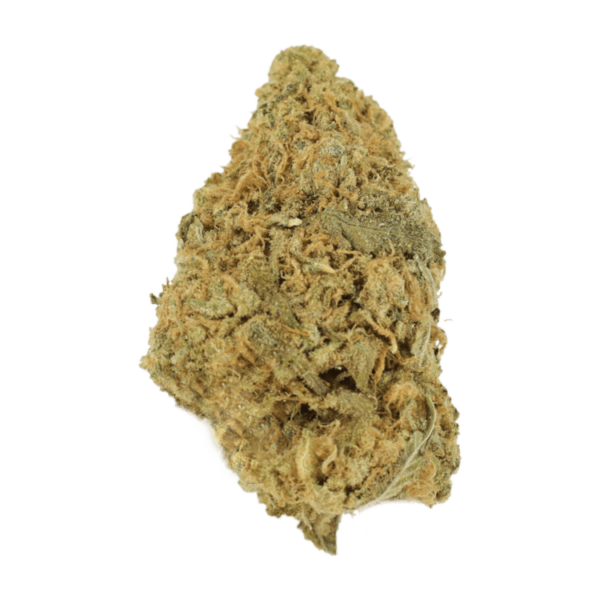 Zombie OG | Budmail Canada