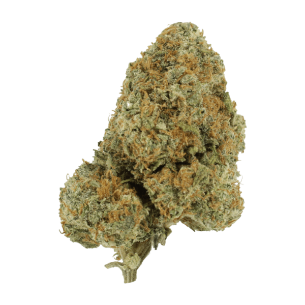 Blue Rhino | Budmail Canada