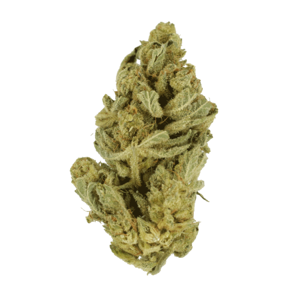 Hindu Kush – 7g | Budmail Canada