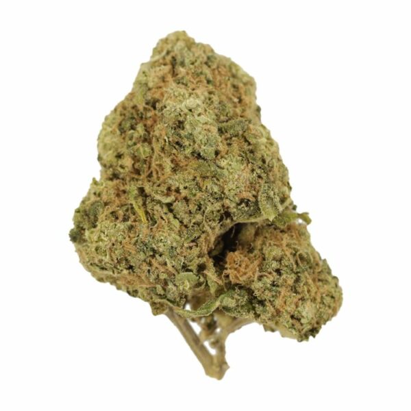 Tangerine Dream | Budmail Canada