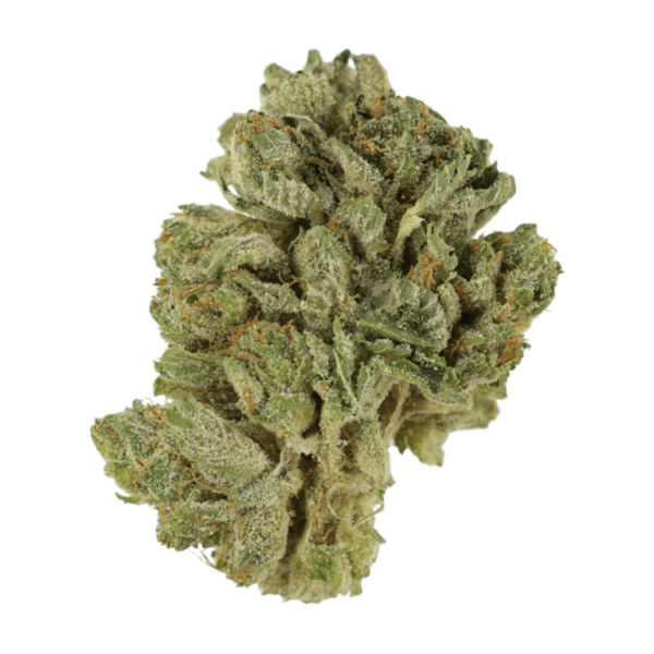 Northern Lights 2 for $69 | Budmail Canada