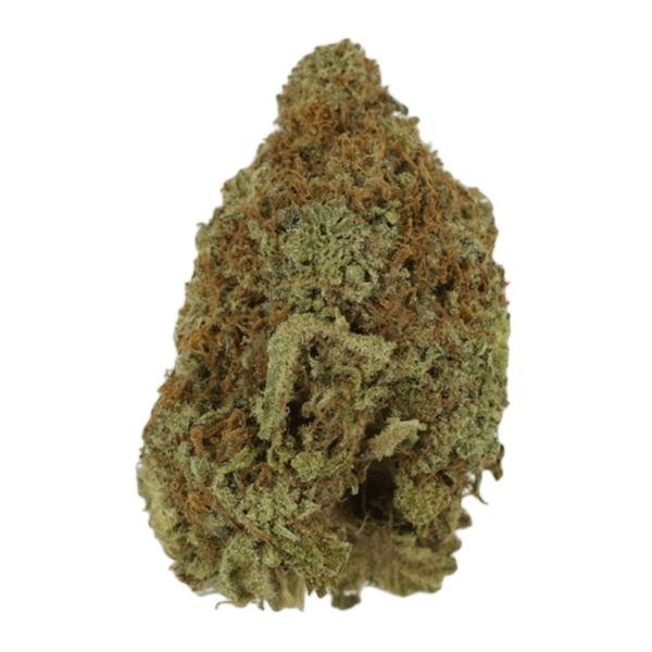 Mango Haze | Budmail Canada