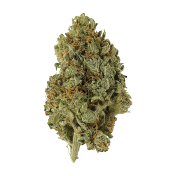 Sugar Cookies | Budmail Canada