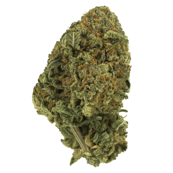 Black Nuken | Budmail Canada