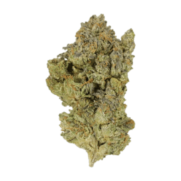 Golden Goat | Budmail Canada