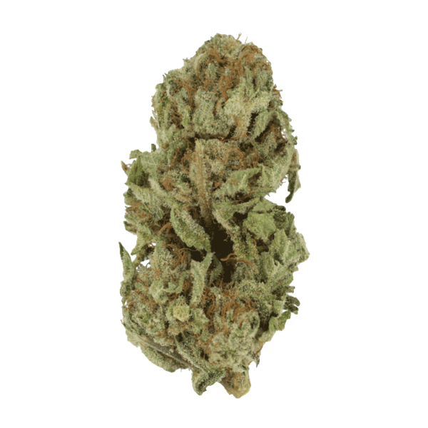 Golden Goat | Budmail Canada