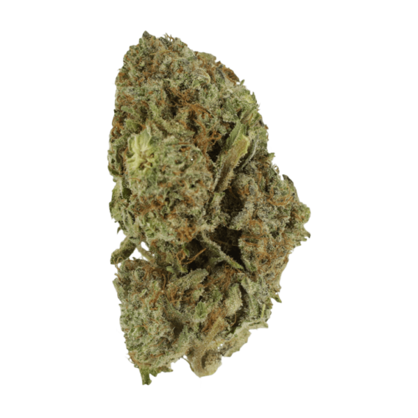 Gelato Sorbet – 1 ounce | Budmail Canada