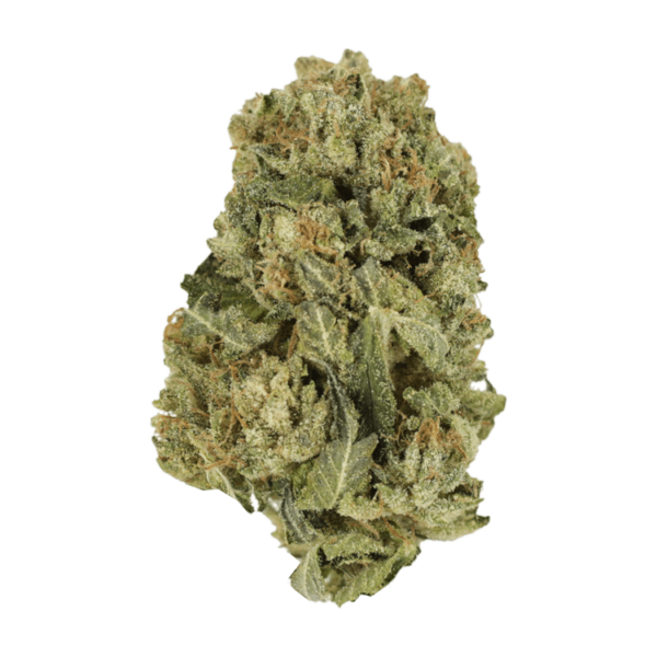 Black Domina | Budmail Canada