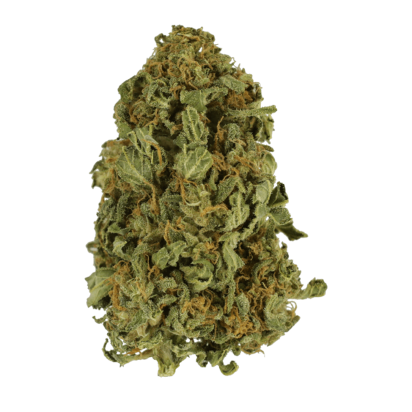 Apricot Kush – $35/oz | Budmail Canada