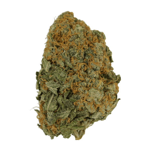 Master Kush Ultra | Budmail Canada