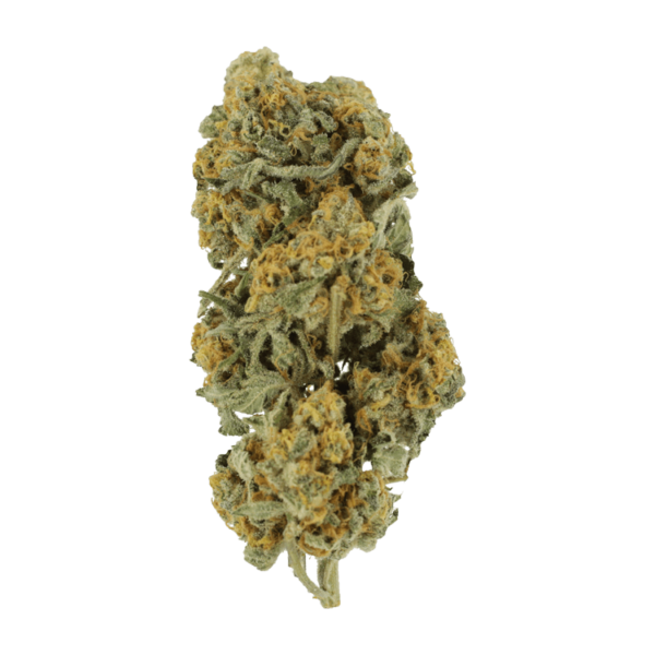 Miracle Alien Cookies | Budmail Canada