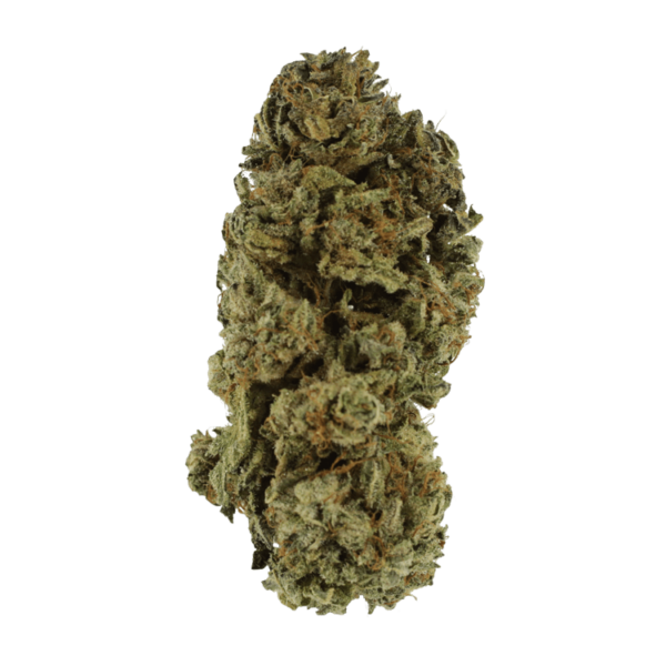 Black Kush – 1 ounce | Budmail Canada