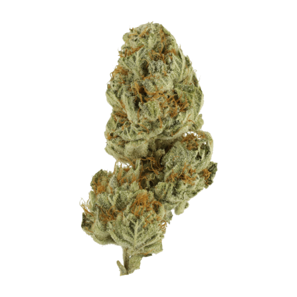 Strawberry Glue | Budmail Canada