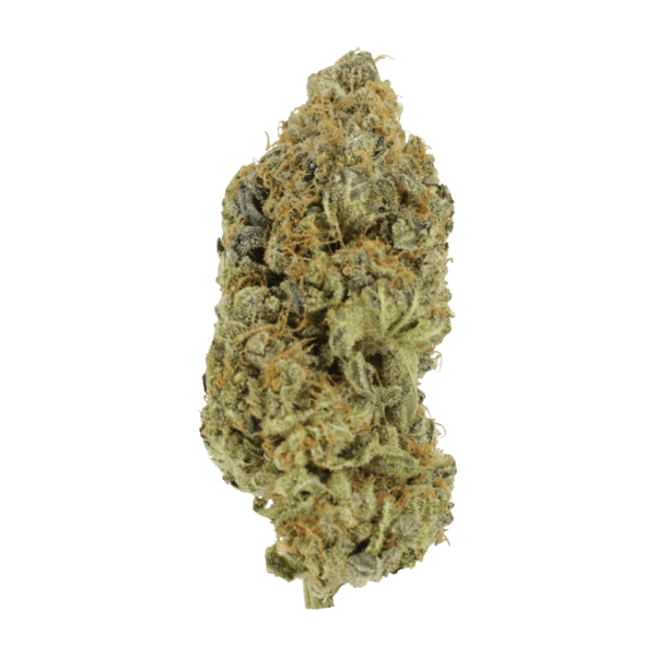 Critical Widow | Budmail Canada