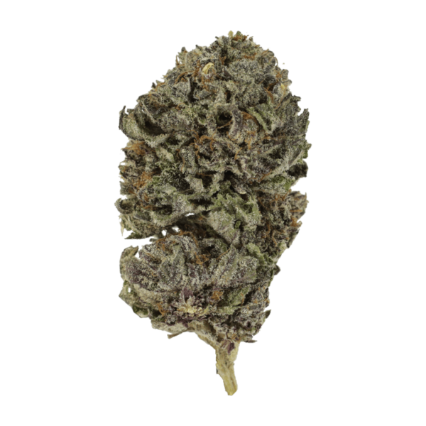 Purple Skunk | Budmail Canada
