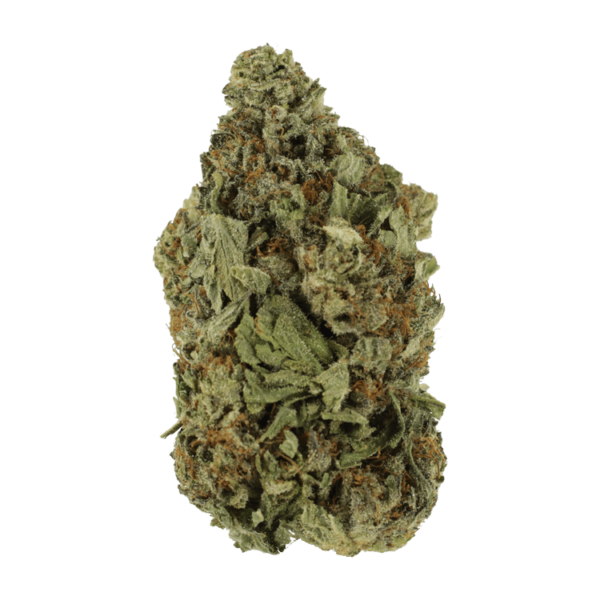 Shishkaberry | Budmail Canada