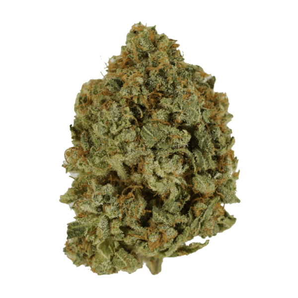 Crazy Glue | Budmail Canada