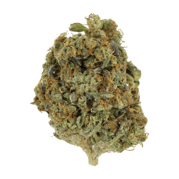 Sunset Sherbert | Budmail Canada