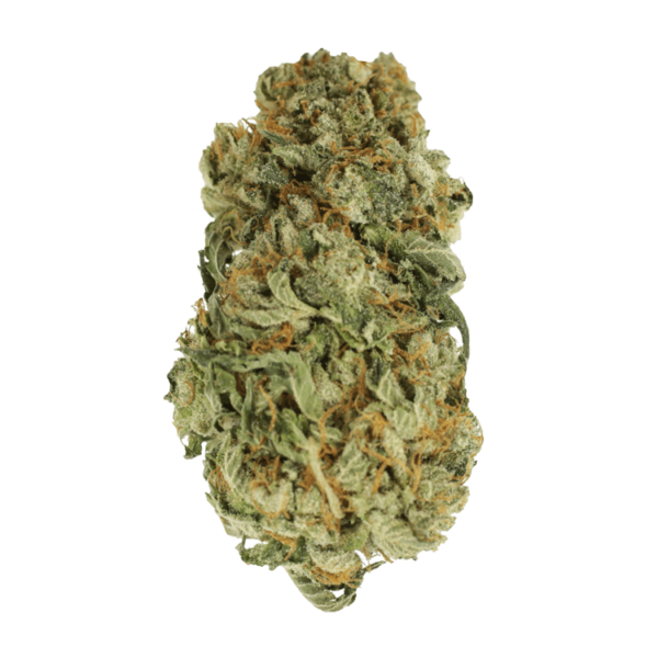 King Louis – 1 ounce | Budmail Canada