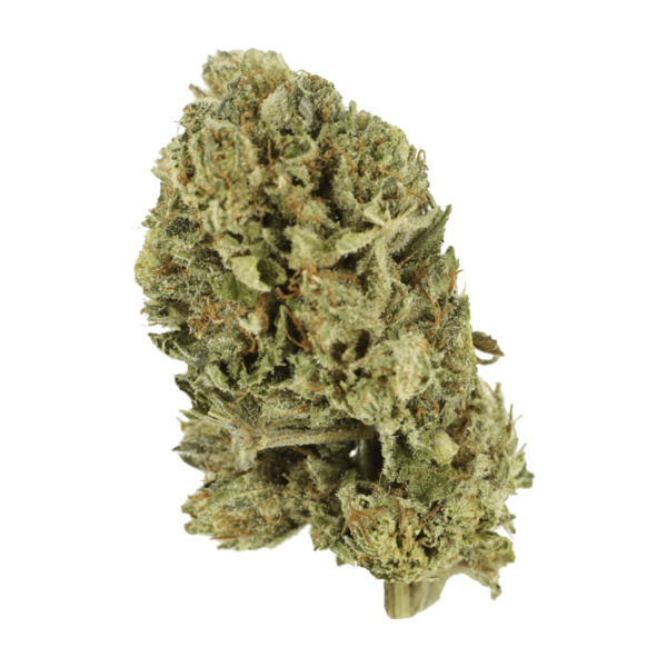 Purple OG Kush – 1 ounce | Budmail Canada