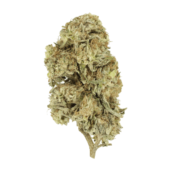 Cherry Wine (CBD) | Budmail Canada