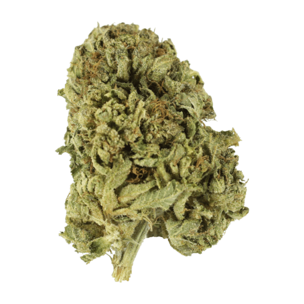 Strawberry Romulan | Budmail Canada