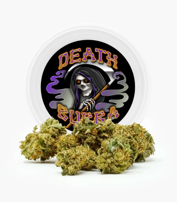 Westcoast Cali Tins – Premium Flower – Skywalker OG – 3.5g | Budmail Canada