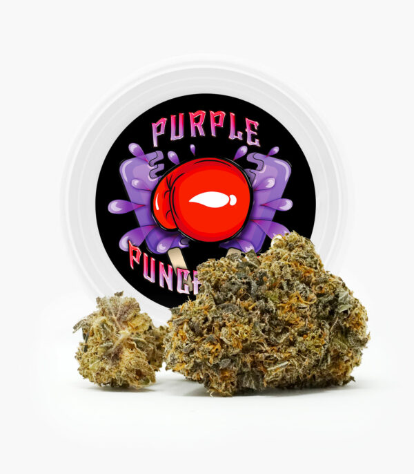 Westcoast Cali Tins – Premium Flower – Purple Punchsicle – 14g | Budmail Canada