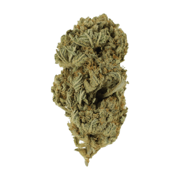  | Budmail Canada