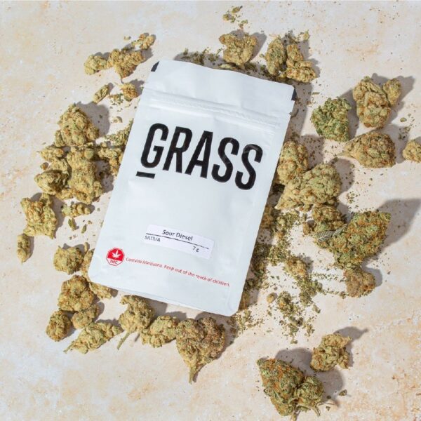 1/2OZ Sample Pack (AAA) – SAVE 20% | Budmail Canada