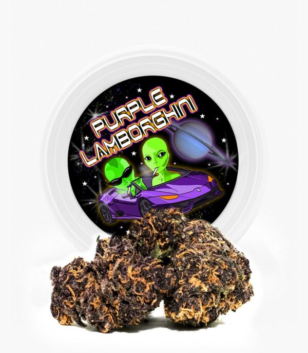 Westcoast Cali Tins – Premium Flower – Purple Lamborghini – 3.5g | Budmail Canada