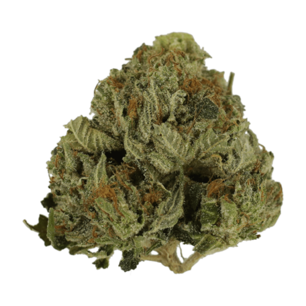 Pink Animal – 1 ounce | Budmail Canada